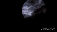 1000302576