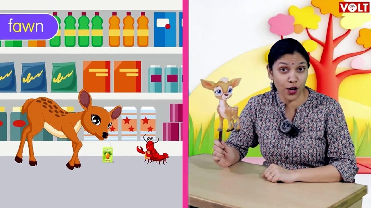 Sound of AW for LKG | Phonics Lesson for Kids | VOLT