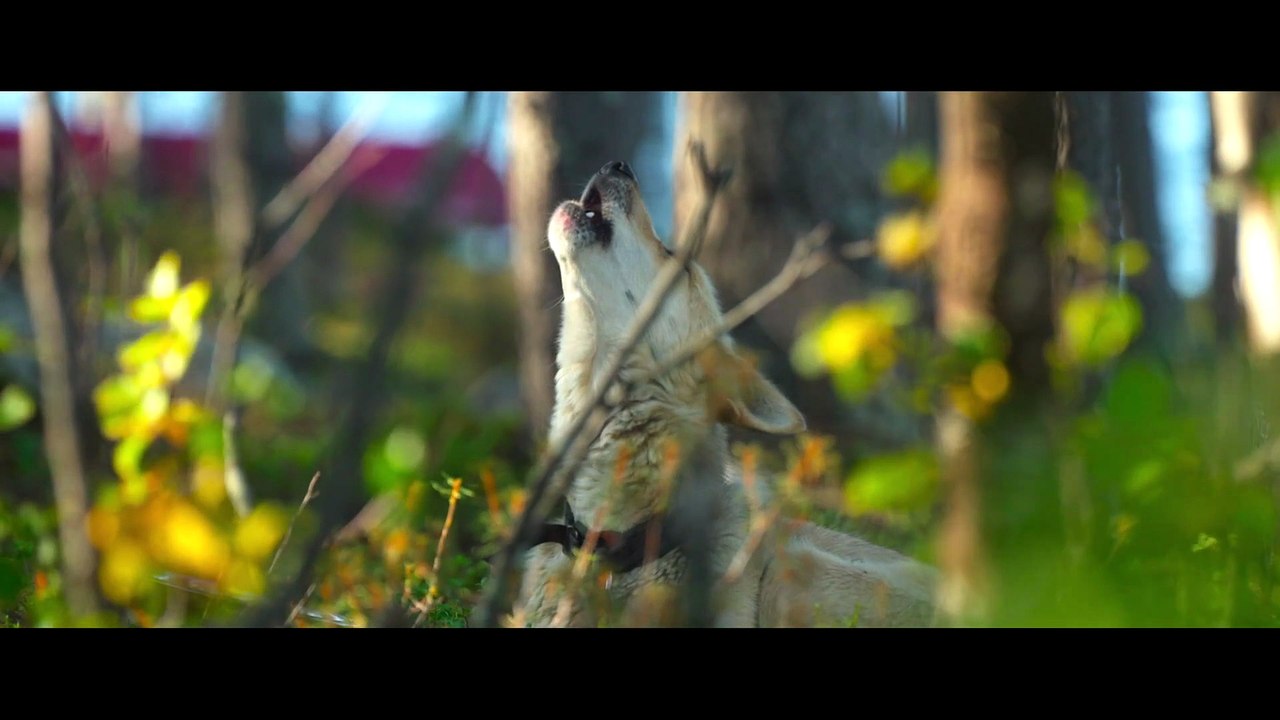 Folktales - Tráiler VOSE