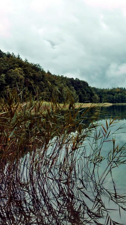 Rain & Thunder for Sleep | Storm Over a Quiet Lake