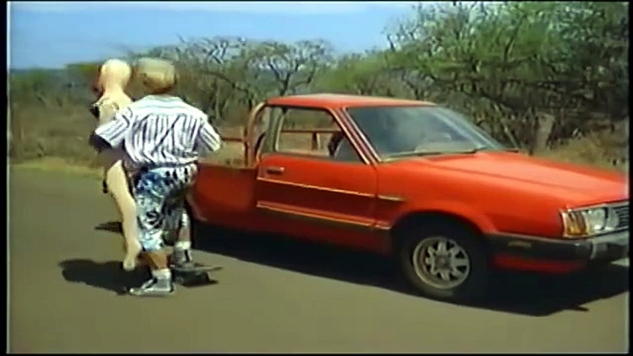 《Hard Ticket to Hawaii Starring Dona Speir and Hope Marie Carlton