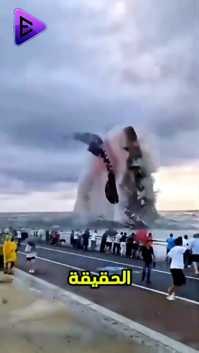 البلاديوم | هل الميجالدون ما زال حيا ؟! 🦈 سر خندق ماريانا 😱 #elpladum #اكسبلور #بحر #shark #معلومات