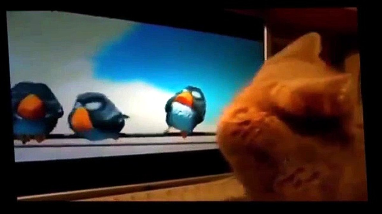 Funny Videos - Funny Animals - Funny Dogs - Funny Cats - Baby Funny - Best Funny Animals 2015 [Full Movie]