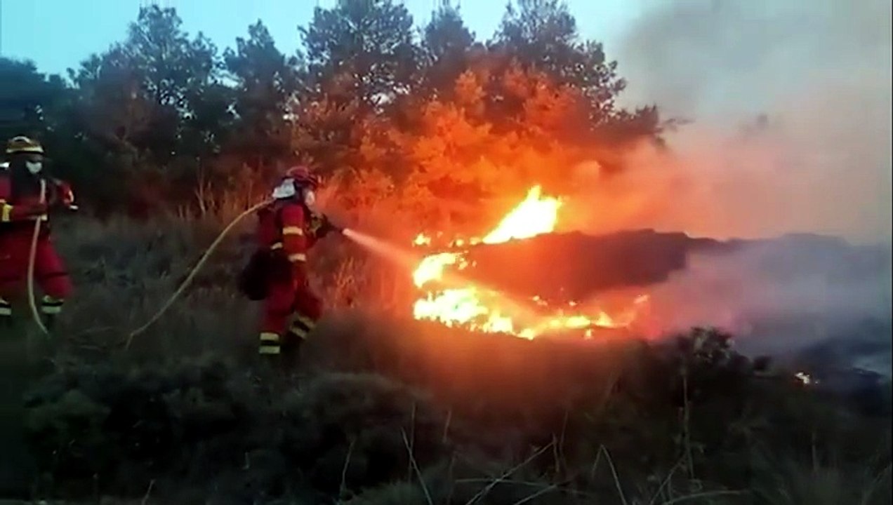 Guadalaja, Soria y Teruel, focos de los principales incendios que asolan España
