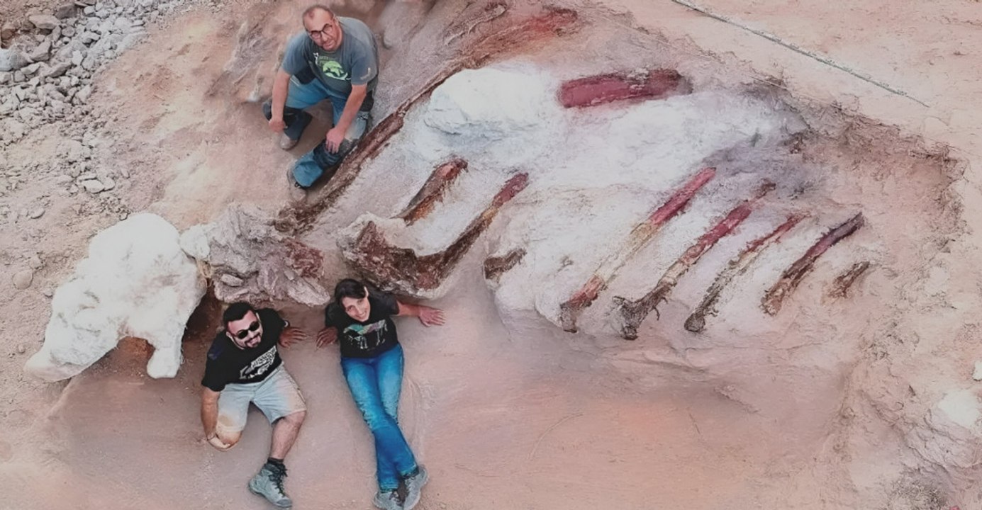 Scientists Uncover a New Sauropod Species