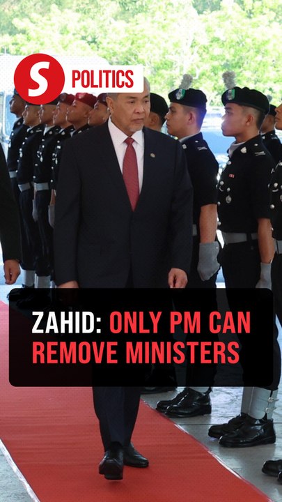 Removal from Cabinet posts is purely PM's prerogative, says Zahid