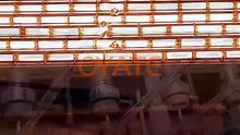 Long Service Life Industrial Infrared Heating Tube Poultry Farm Heating Quartz Tube