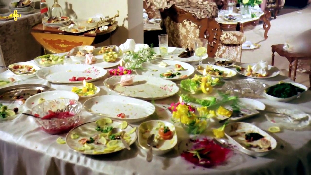 Bir Kadin Bir Hayat 1985