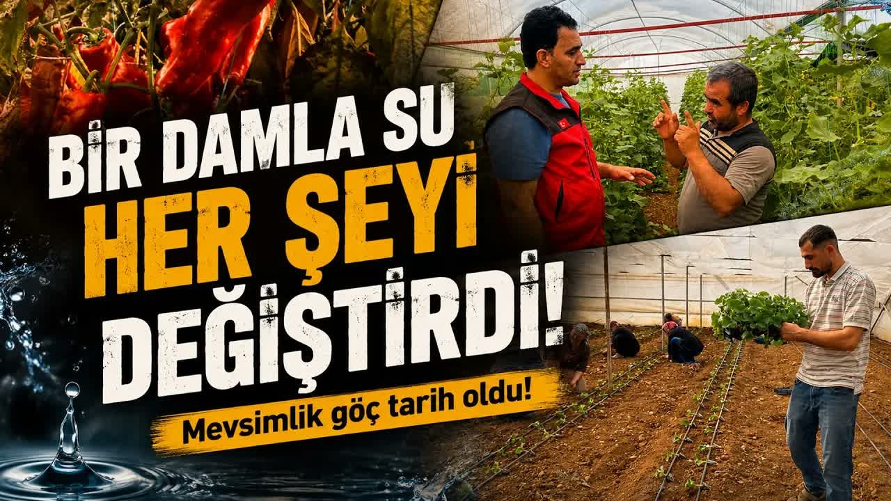 Eskiden İşçi Gidiyorlardı, Şimdi Kendi Topraklarının Patronu Oldular
