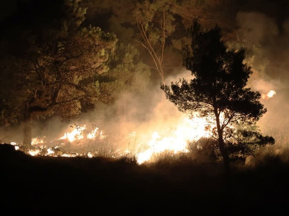Nach Hitzewelle: Waldbrände verwüsten Sizilien