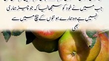 Allah's Decisions Are Always The Best | Beautiful Islamic Reminder