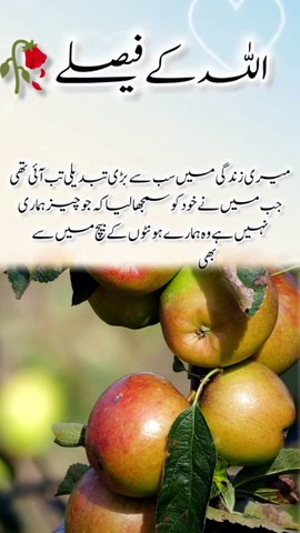 Allah's Decisions Are Always The Best | Beautiful Islamic Reminder