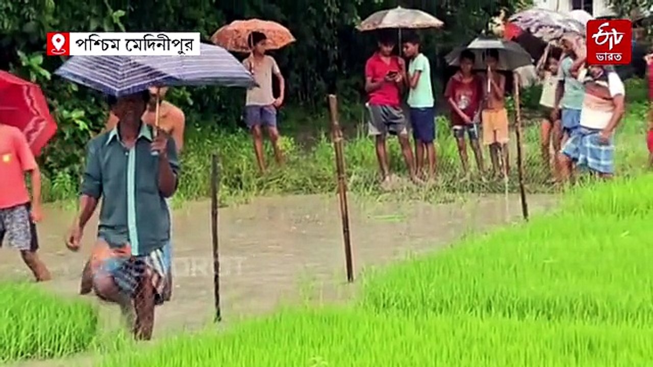মাছের জালে ধরা পড়ল 15 ফুটের অজগর ! আতঙ্কে স্থা...