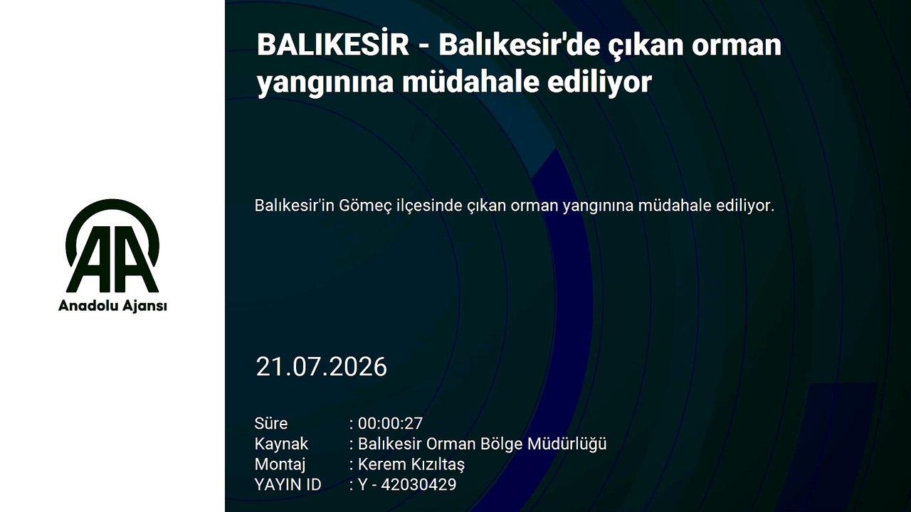 Balıkesir'de çıkan orman yangınına müdahale ediliyor