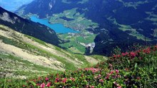 Détente Anti Stress _ Musique Relaxante de Montagne pour le Sommeil et le Calme Intérieur