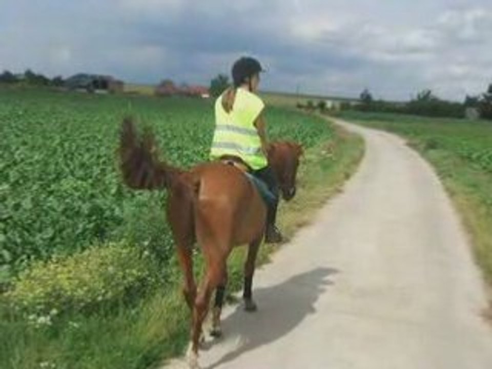 Balade mel sophie