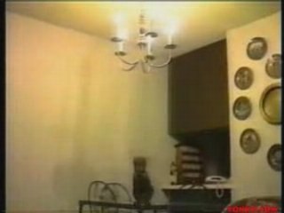 Les gamèles des chats (Cats power)