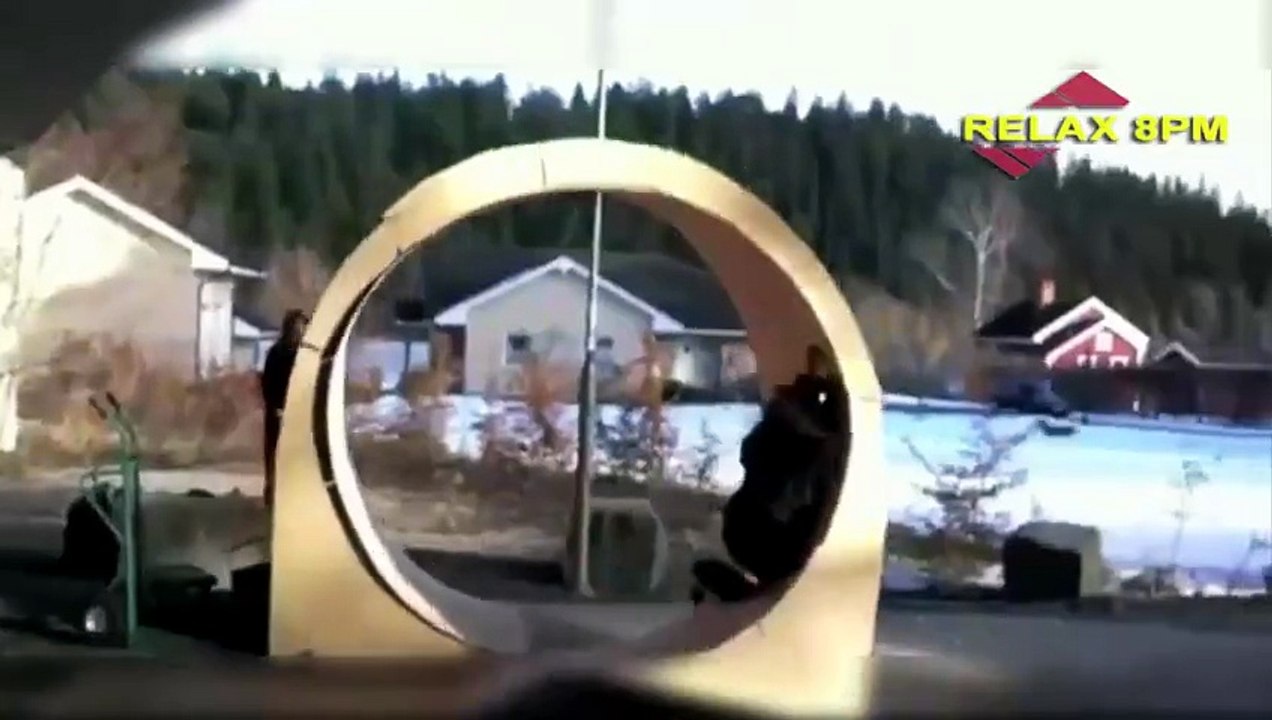 Funny Videos Funny Fails 2015 Funny Vines Funny Pranks Best Funny New Vines [Full Movie]