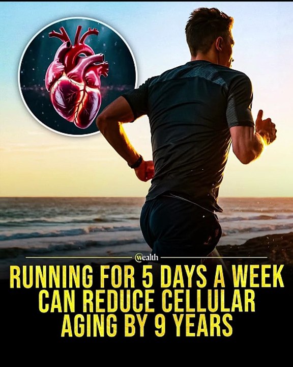 Running For 5 Days A Week Can Reduce Cellular A...