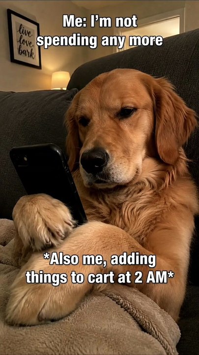 Nobody: Absolutely nobody: Me at 2 AM investigating a random noise. #NightOwl #FunnyPets #AnimalMeme #LateNightThoughts #MemesDaily