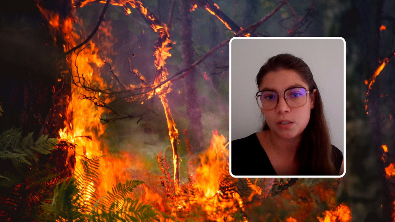 Pourquoi la France est-elle si vulnérable face aux incendies ?