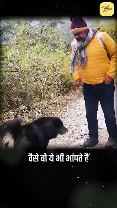 कुत्ते हमलावर हैं? || आचार्य प्रशांत