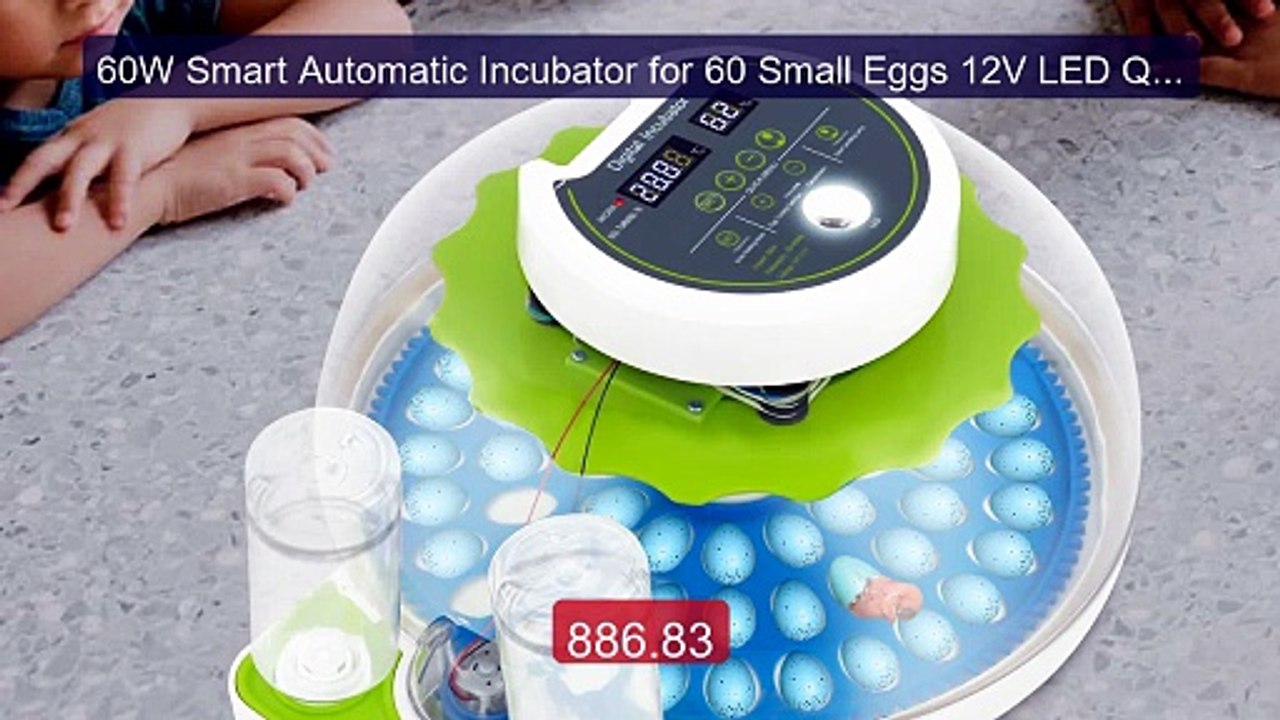 60W Smart Automatic Incubator for 60 Small Eggs 12V LED Quail Egg ... -- Best Deal 2026 | Shop Now!