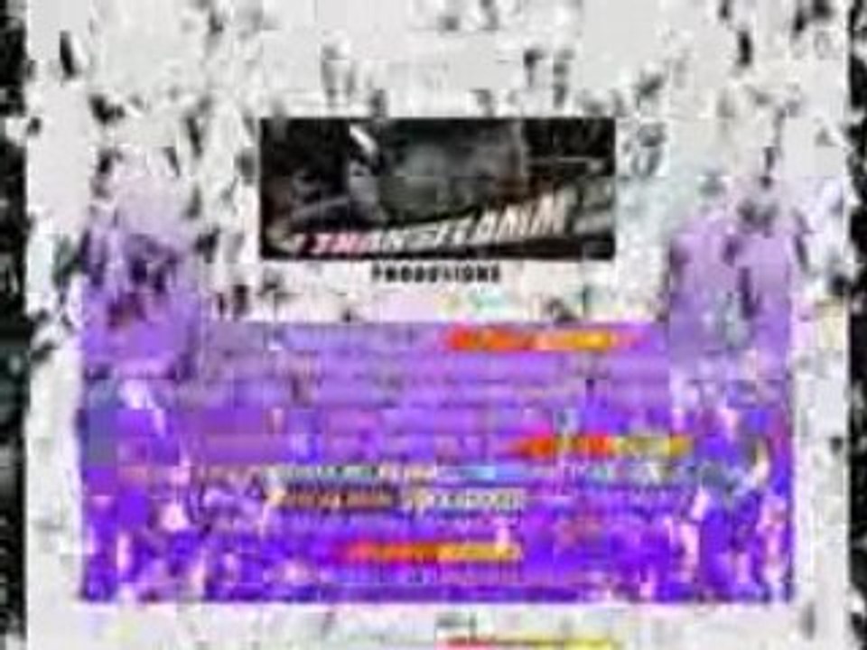 DRAGONLYRIC-TRANSFLAMM TT4_FRENCH_+