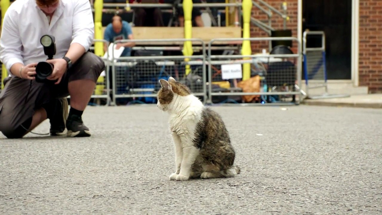 Larry the Cat remains Chief Mouser