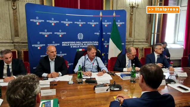 Agroalimentare, Lollobrigida Controlli e risorse per il settore cerealicolo