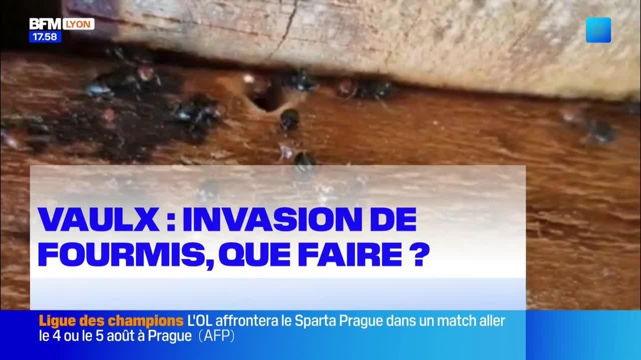 Le journal de 18h du mardi 21 juillet 2026