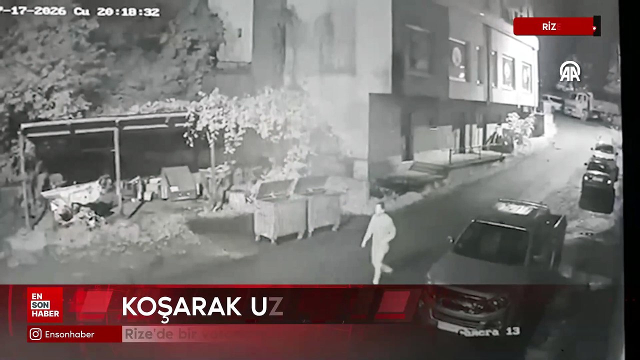 Rize'de bir vatandaşı sokak ortasında ayı kovaladı