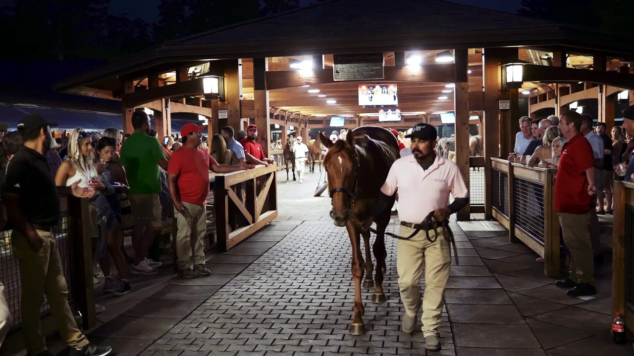 2026 Fasig-Tipton Saratoga Sale 2