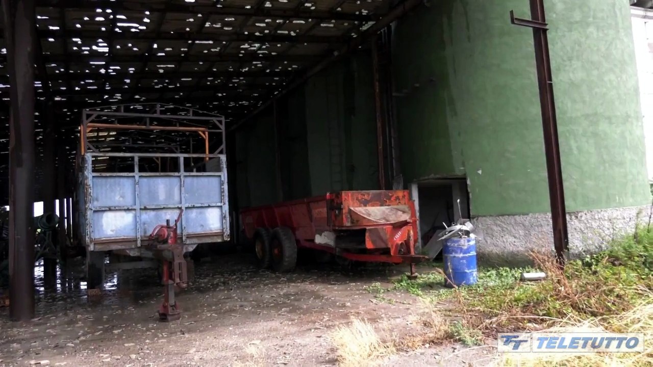 Video News - Clima estremo, la grandine devasta la Bassa