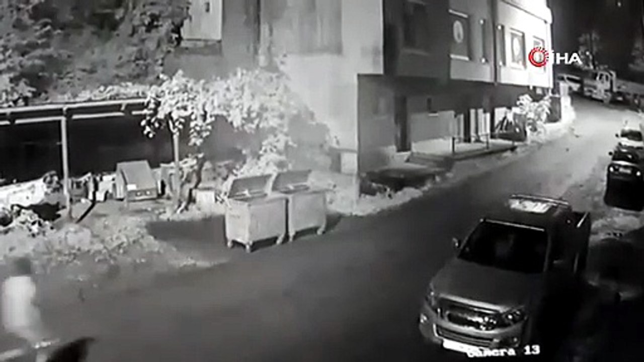 Rize’de vatandaşı ayı kovaladı, o anlar kameraya yansıdı