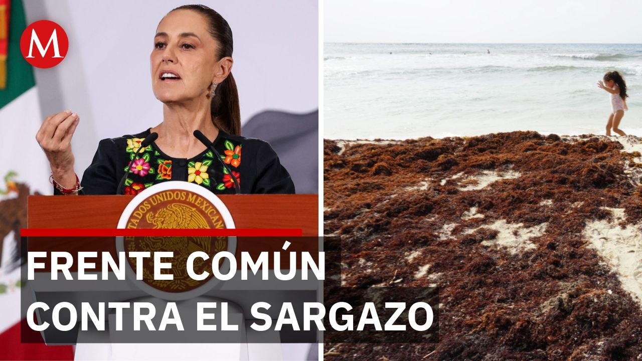 Sheinbaum convoca a científicos para blindar el Caribe mexicano