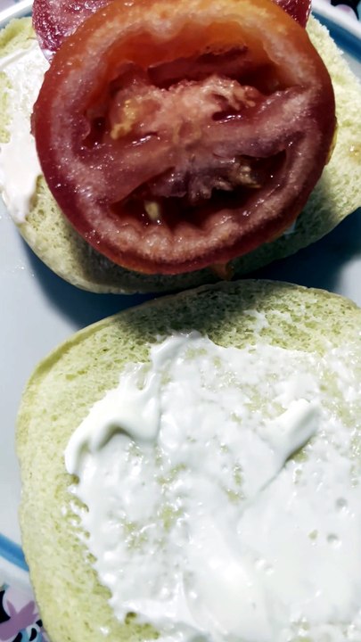 My Turkey Ground Burger Recipe