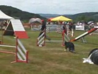 Le Creusot Titi Agility