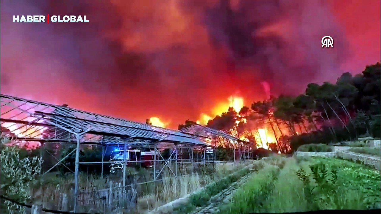 Fransa'da orman yangınını söndürme çalışmaları sürüyor