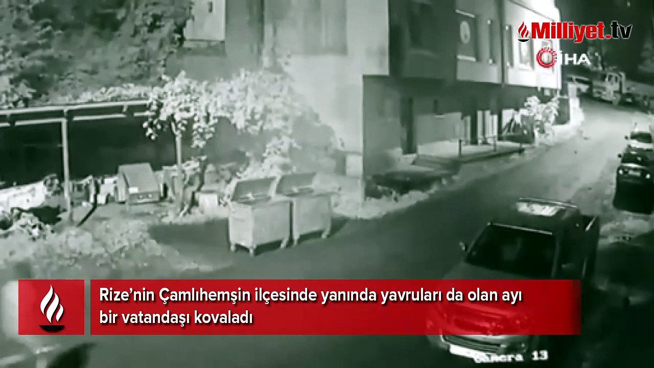Rize’de vatandaşı ayı kovaladı, o anlar kameraya yansıdı