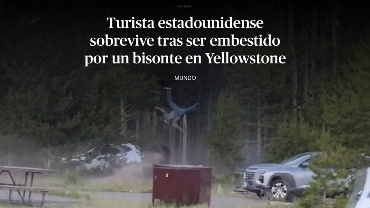 Turista estadounidense sobrevive tras ser embestido por un bisonte en Yellowstone: "Se mueven más rápido de lo imaginado"