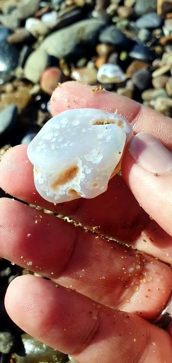 Agate beach