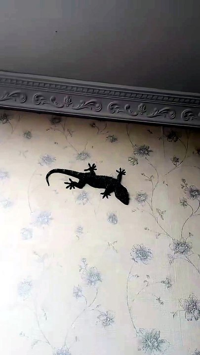House Gecko Lizard Hunting insect 🦎🦗 #reptile #shorts