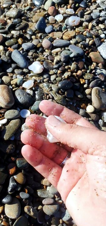 Agate waith beach