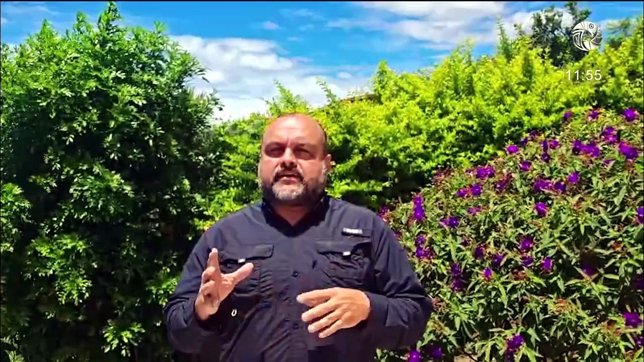 Trece Noticias - Edición Meridiana | 21 julio 2026