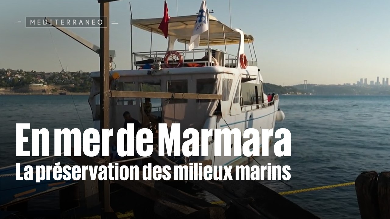 MEDITERRANEO 2025/2026 - INTEMPO - En mer de Marmara, la préservation des milieux marins