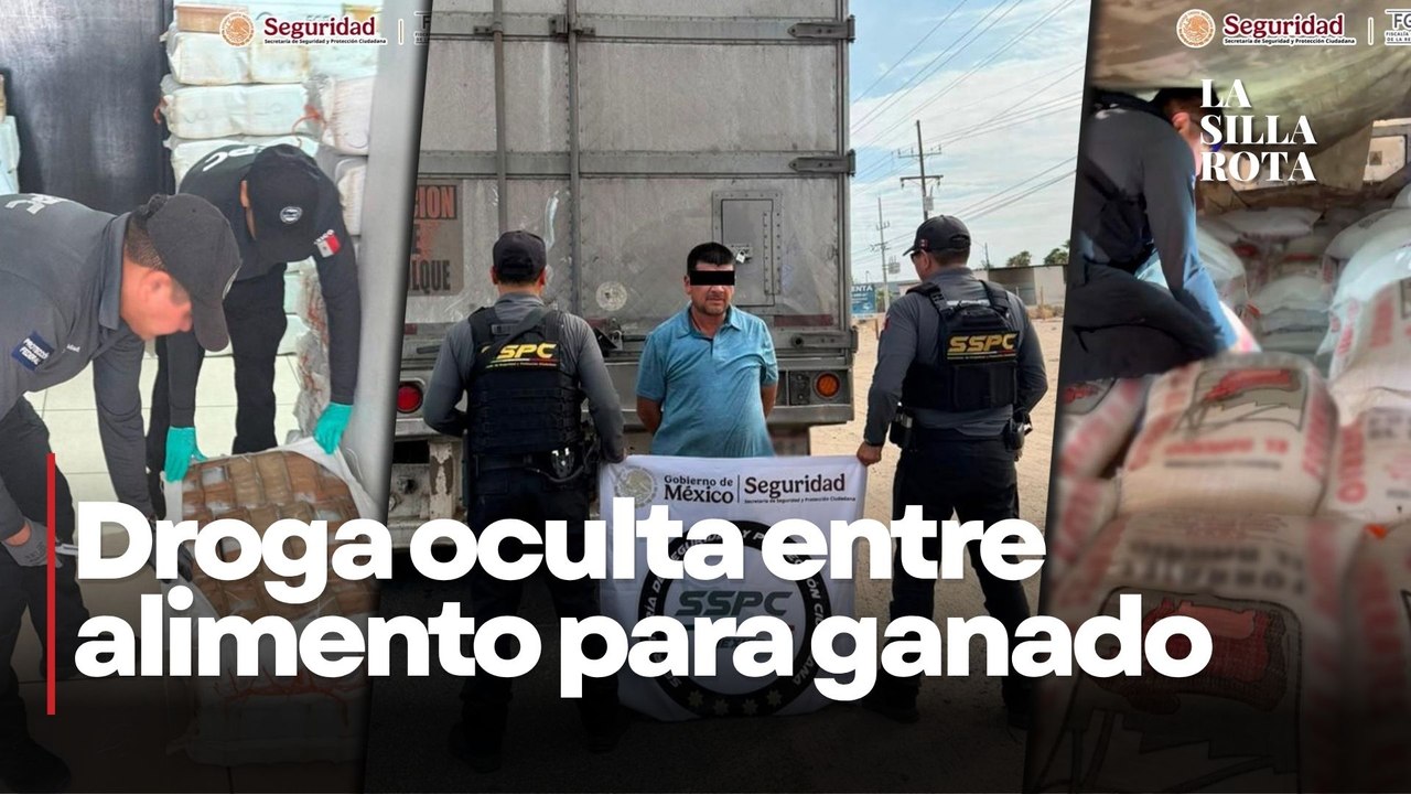 Decomisan más de 3 toneladas de metanfetamina en Sonora