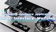 User Interface Modules