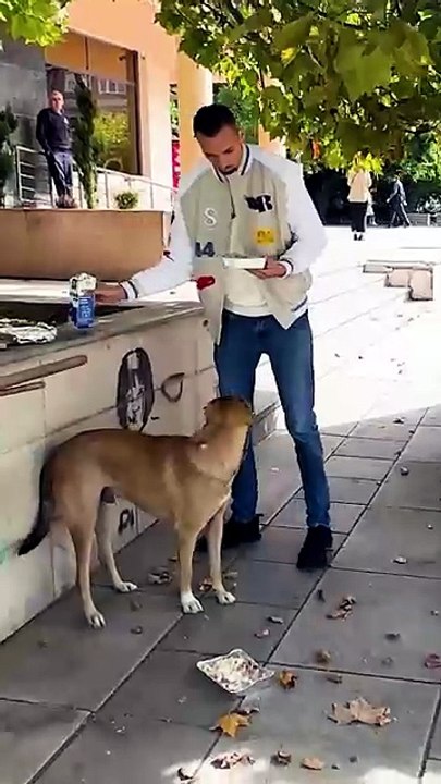 Feeding hearts and tummies, one stray at a time!