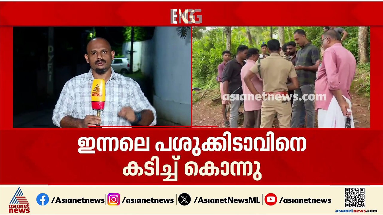 കണ്ണൂരിൽ പുലി ഭീതി; പശുക്കിടാവിനെ കടിച്ചുകൊന്നു, നാട്ടുകാർ ആശങ്കയിൽ